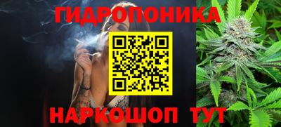 гидропоника Волжск