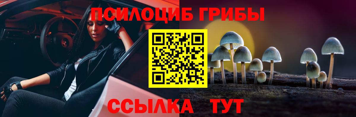 хочу   Галлюциногенные грибы Psilocybe  Вход с VPN  Ейск  Псилоцибиновые грибы Cubensis 